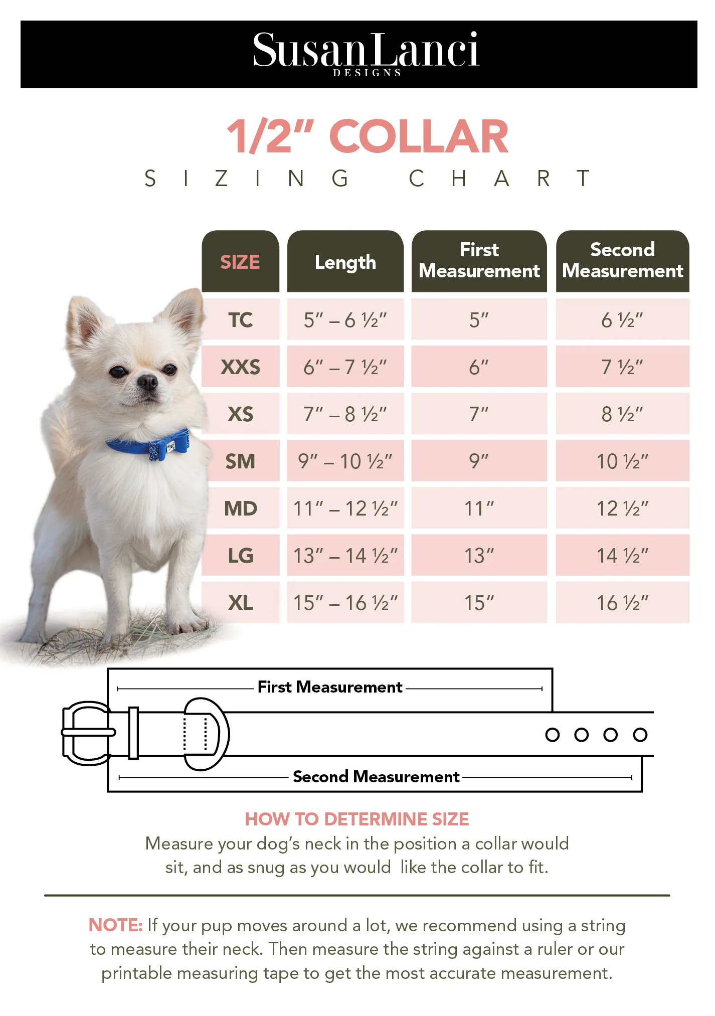 Susan Lanci 设计纯色领子