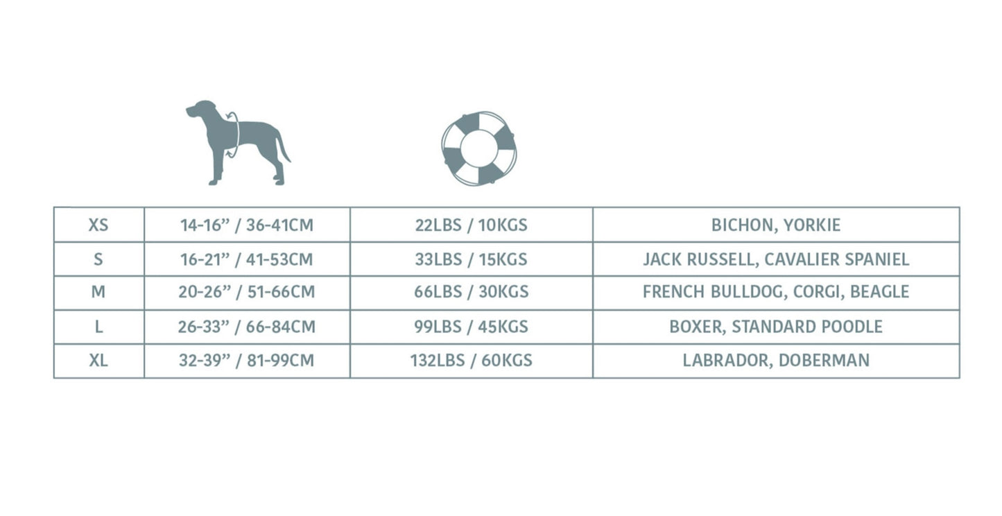 黄色救生员狗救生衣