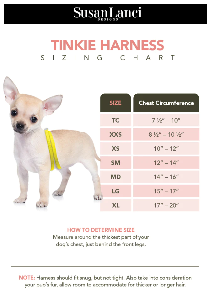 Susan Lanci 设计了 3 排 Giltmore 水晶 Tinkie Harness