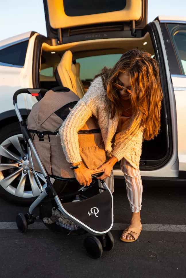 Newport Pet Stroller (3-In-1 Travel System)