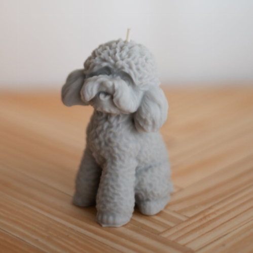 Colección de velas de caniche