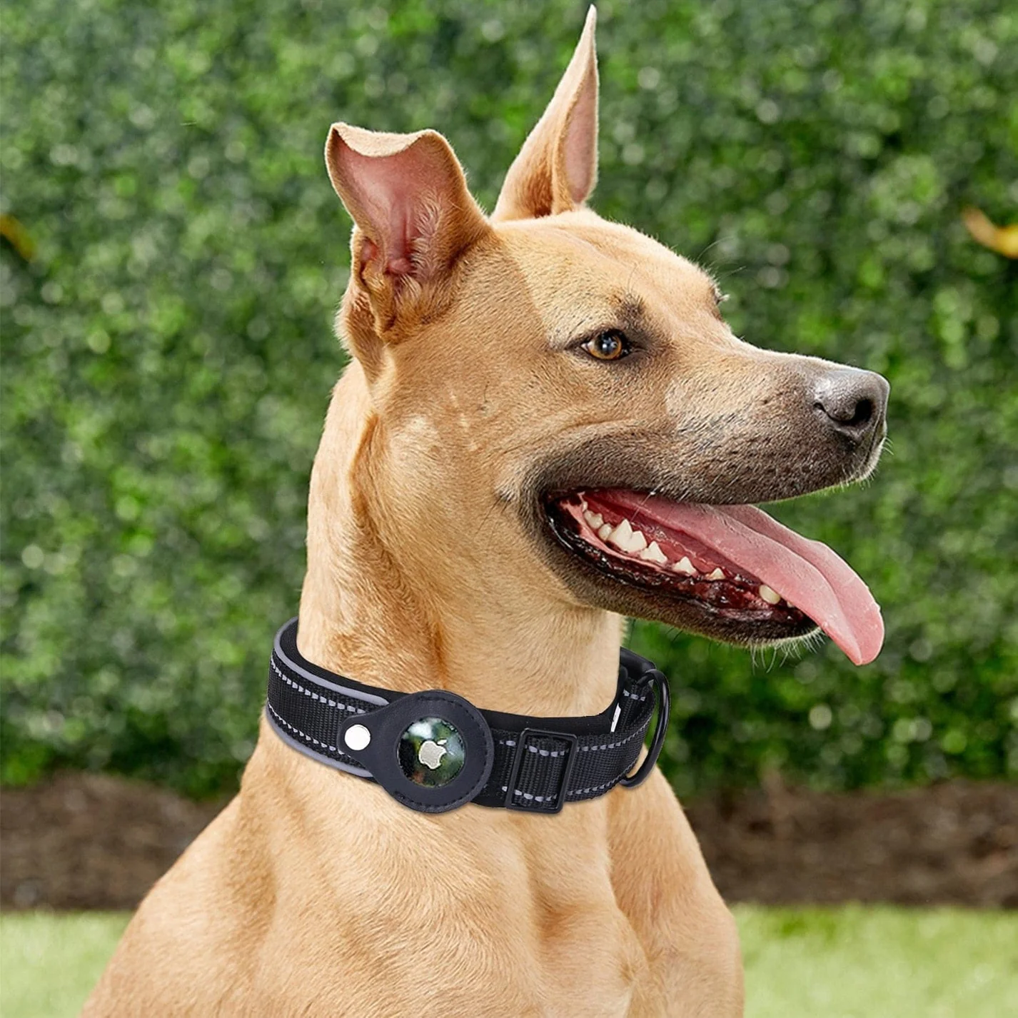 2-In-1 AirTag Anti-Lost Device & Waterproof Dog Collar
