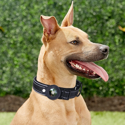 2-In-1 AirTag Anti-Lost Device & Waterproof Dog Collar