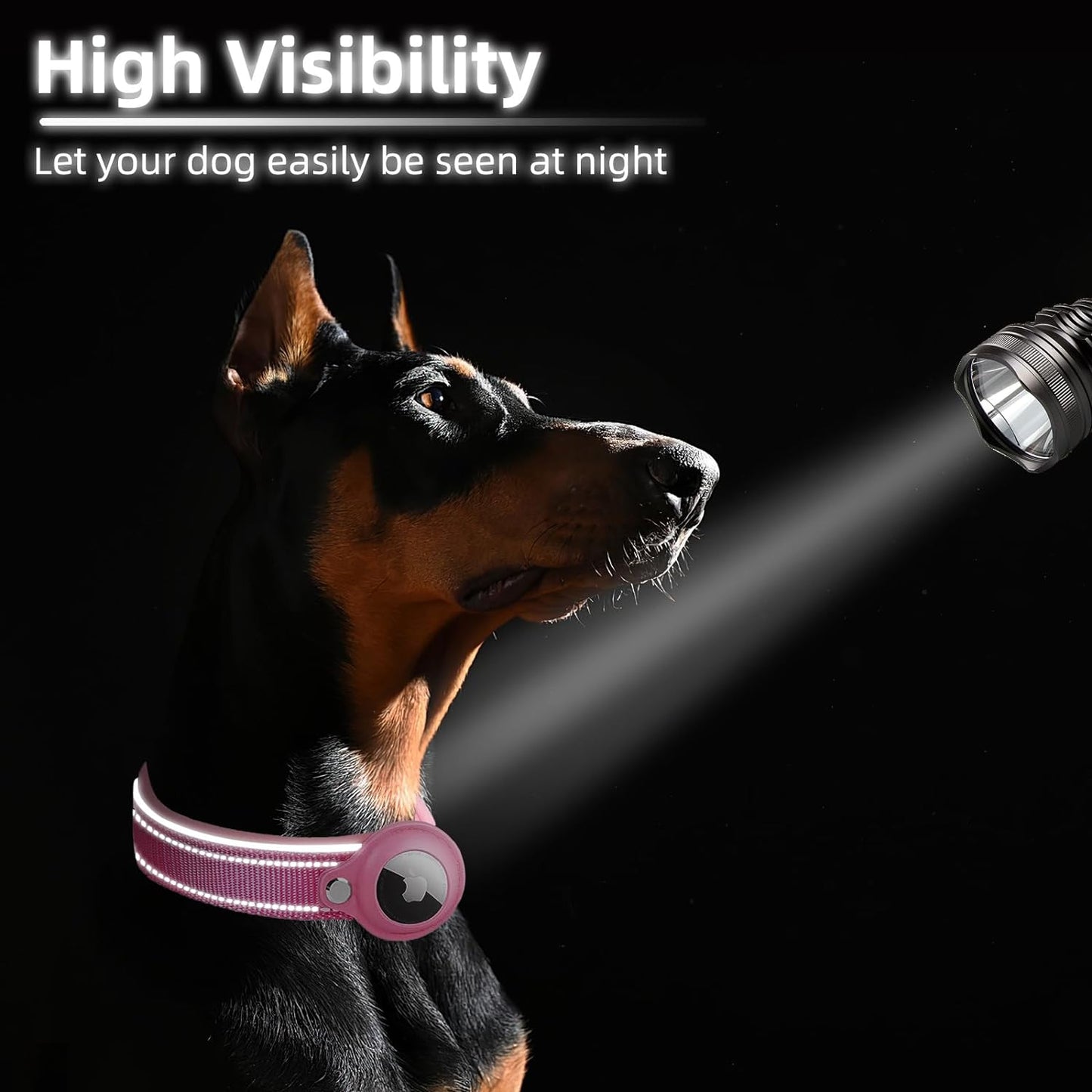 2-In-1 AirTag Anti-Lost Device & Waterproof Dog Collar