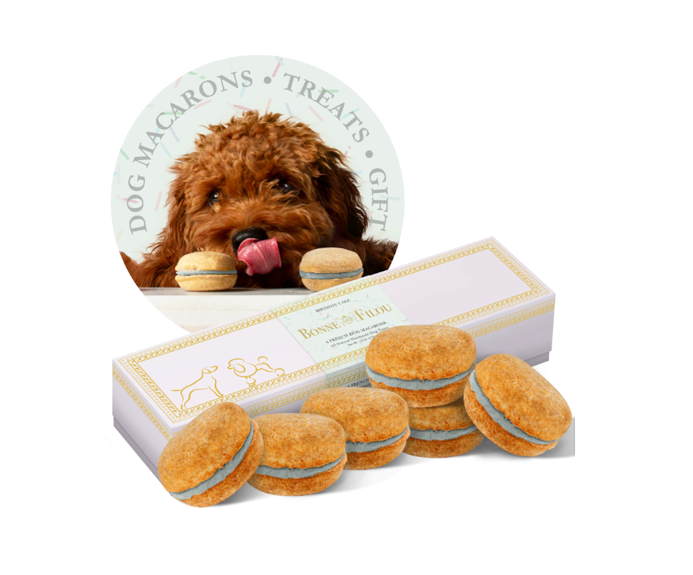 Dog Macarons (12 Flavors) Bonne et Filou