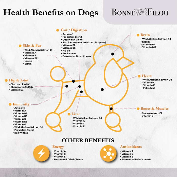 Dog Macarons (12 Flavors) Bonne et Filou