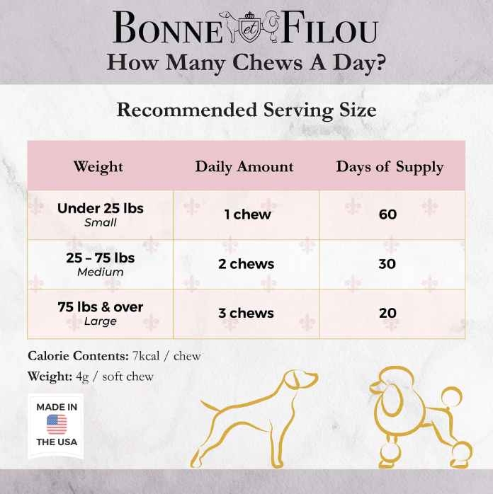 Dog Macarons (12 Flavors) Bonne et Filou