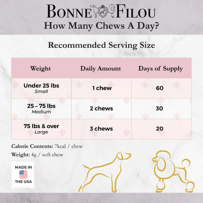 Dog Macarons (12 Flavors) Bonne et Filou