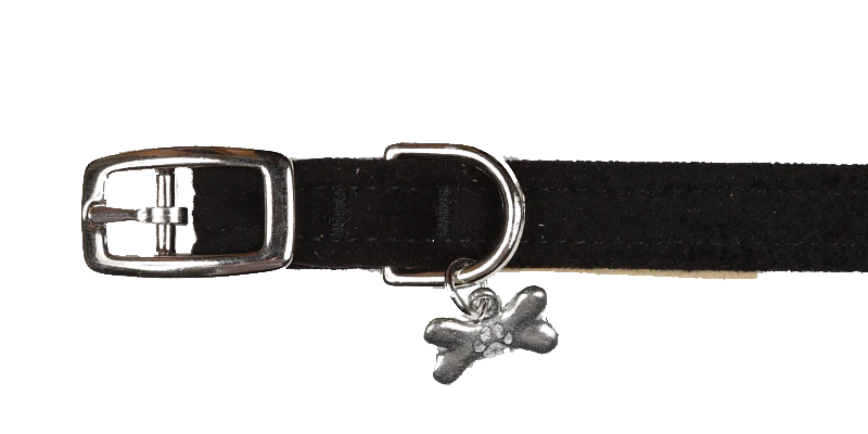 Susan Lanci 设计纯色领子