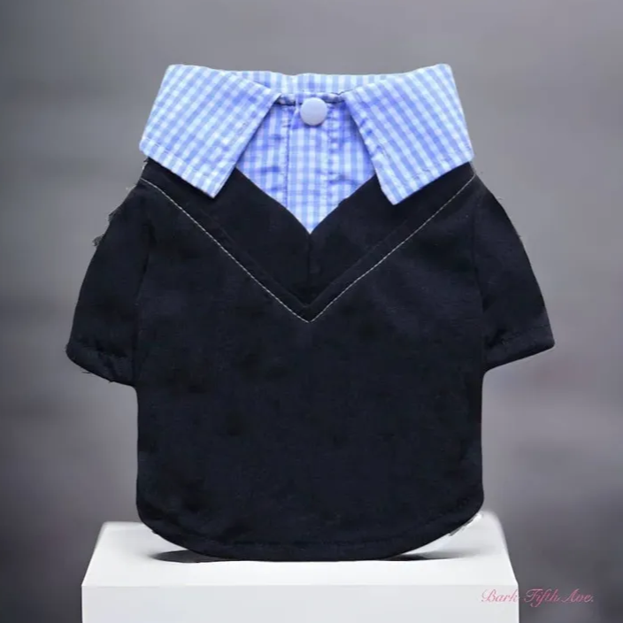 Camisa para perro con cuello Dapper Boy