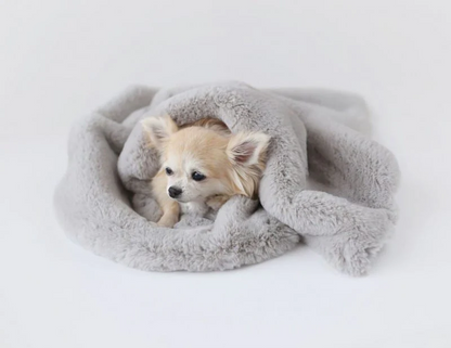 Divine Plus Dog Blanket