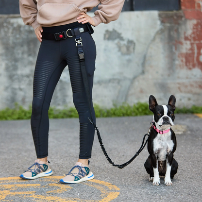 腰带和弹力狗绳