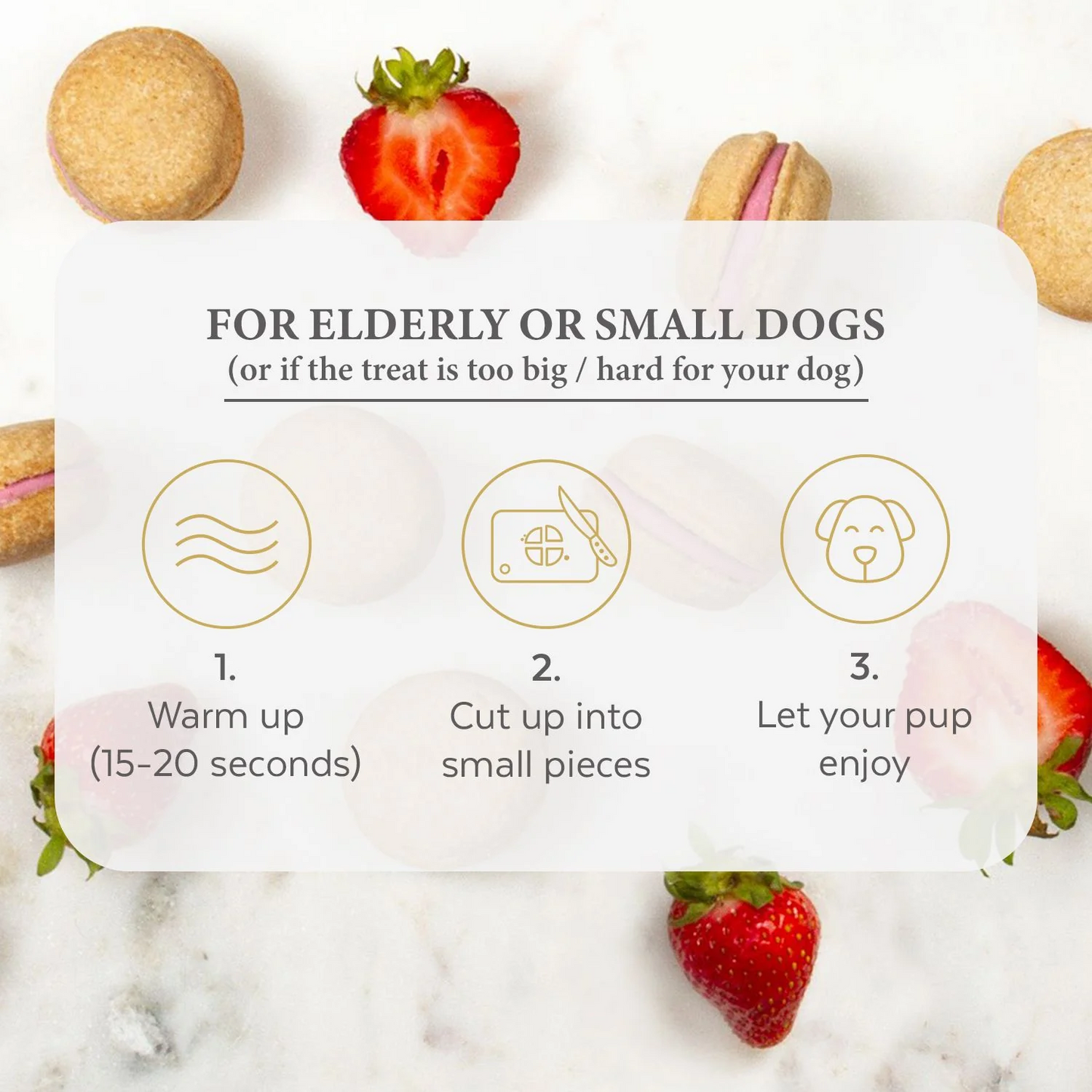 Dog Macarons (12 Flavors) Bonne et Filou