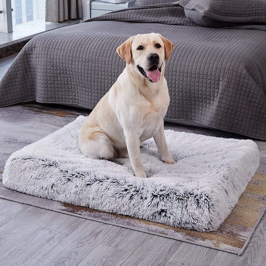 Orthopedic Calming Crate Washable Dog Bed