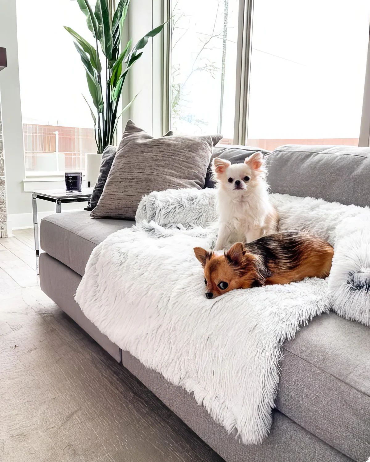 Ultra Calming Plush Dog Sofa Bed
