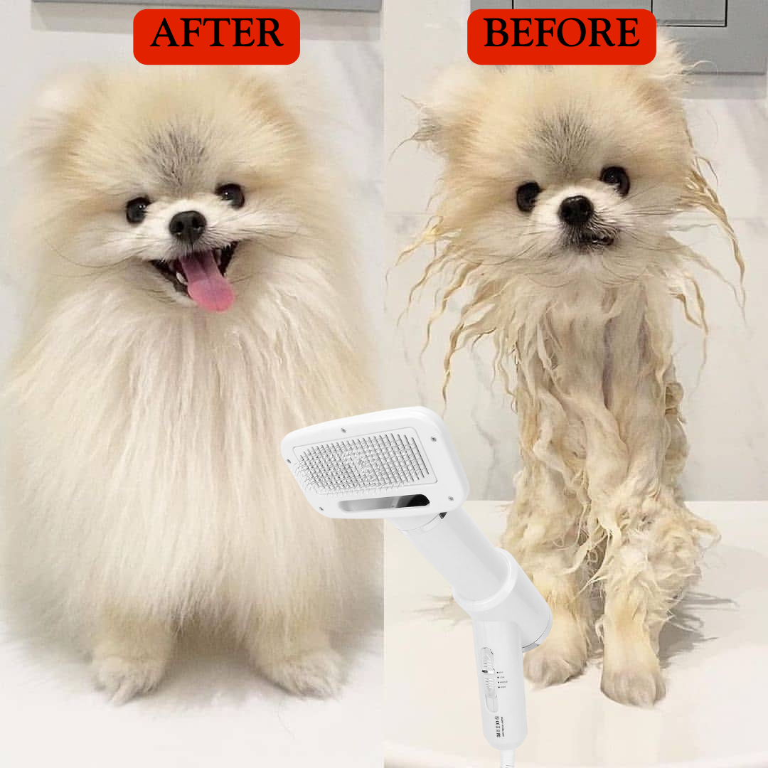 2-In-1 Electronic Pet Brush & Portable Fur Dryer