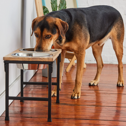 Wood & Metal Elevated Feeder