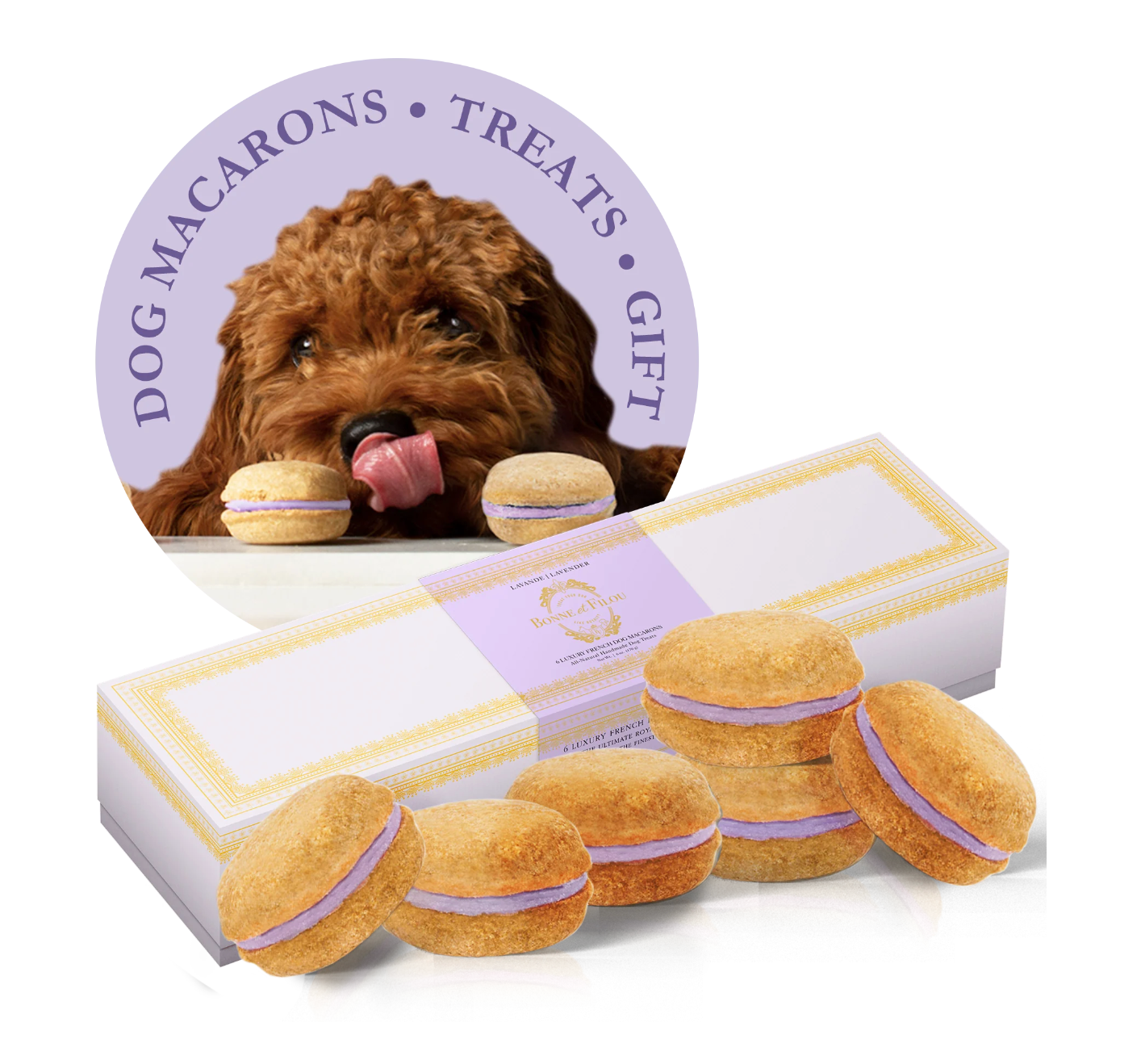 Dog Macarons (12 Flavors) Bonne et Filou