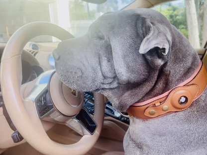 Collar para perros AirTag de cuero genuino premium, impermeable y exclusivo