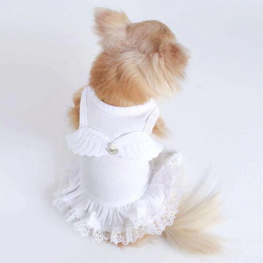 Lil' Angel Dress