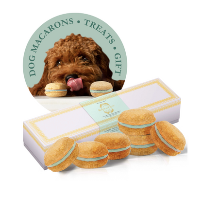 Dog Macarons (12 Flavors) Bonne et Filou