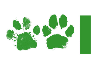 Paw Print Stamp Pad Kit