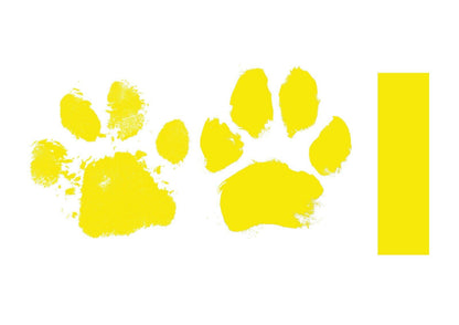 Paw Print Stamp Pad Kit