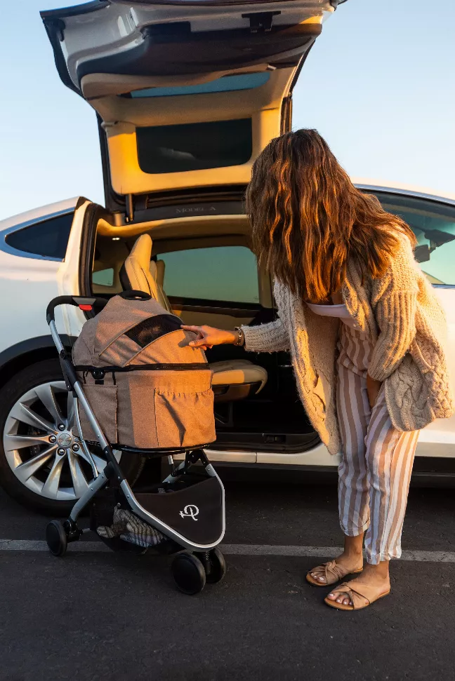 Newport 宠物推车（三合一旅行系统）