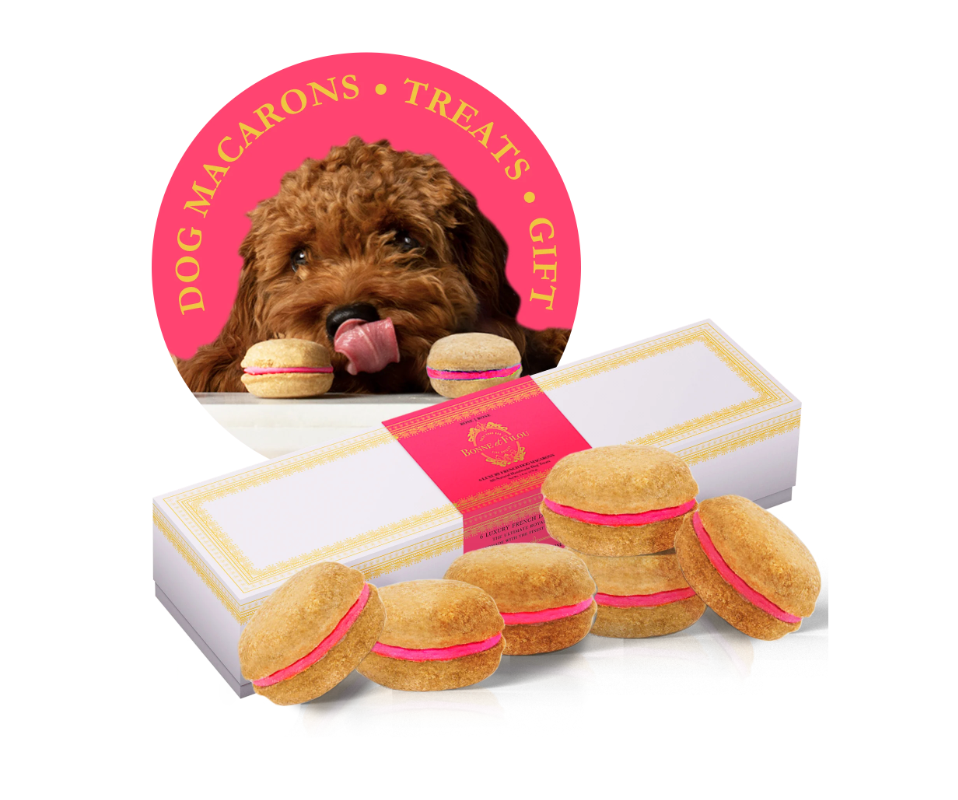 Dog Macarons (12 Flavors) Bonne et Filou