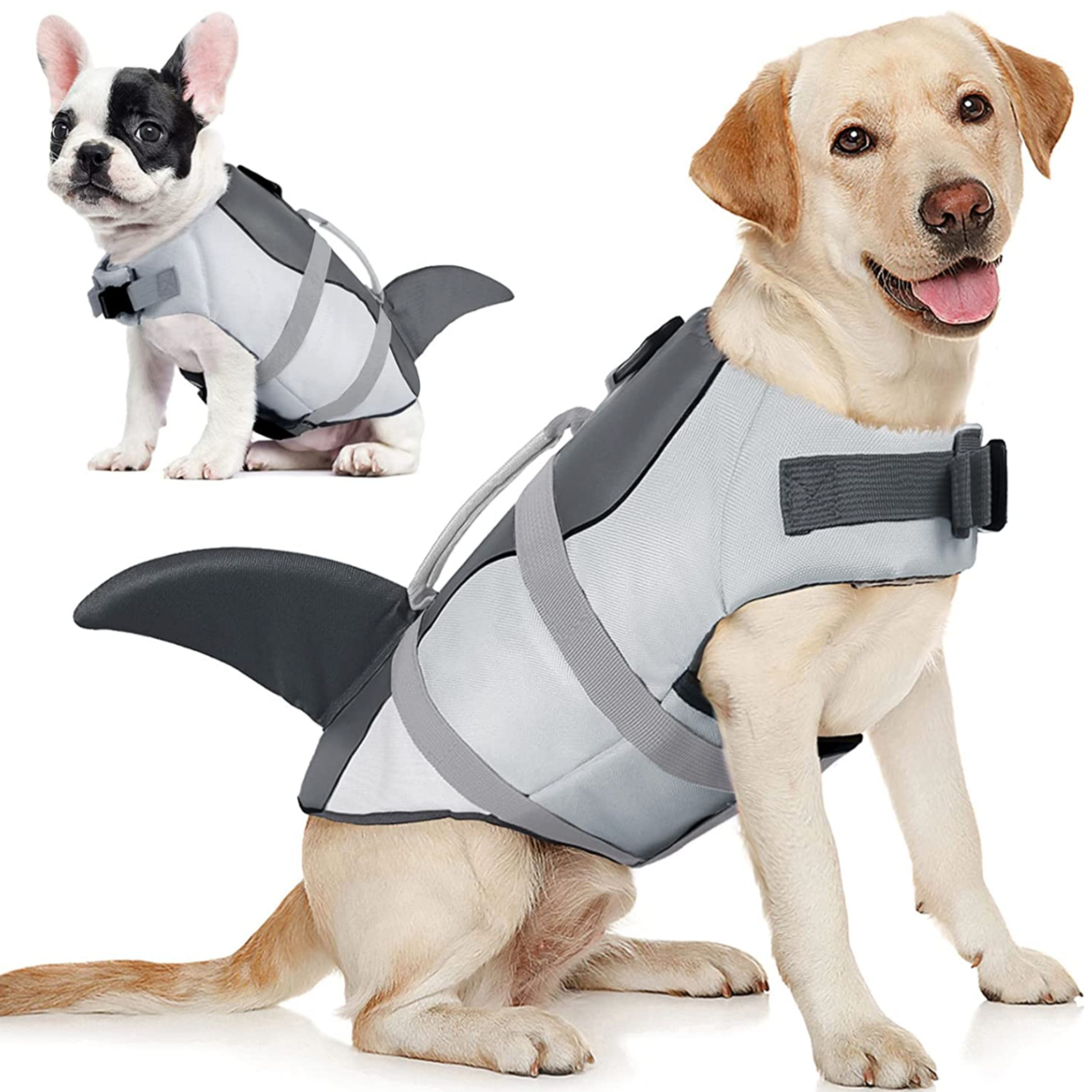 Chaleco salvavidas y traje de baño de seguridad para perros Shark