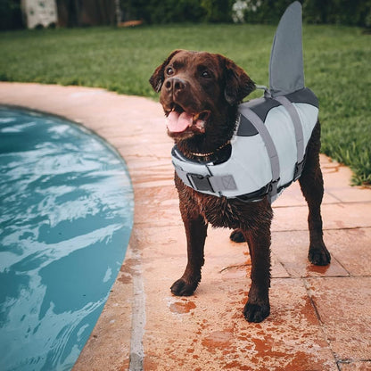 Chaleco salvavidas y traje de baño de seguridad para perros Shark