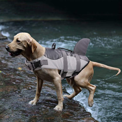 Chaleco salvavidas y traje de baño de seguridad para perros Shark