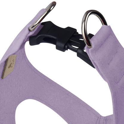 Susan Lanci Designs Step In Harness