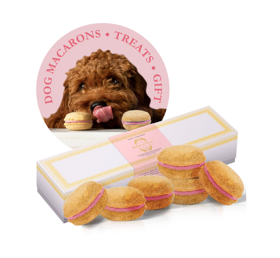 Dog Macarons (12 Flavors) Bonne et Filou