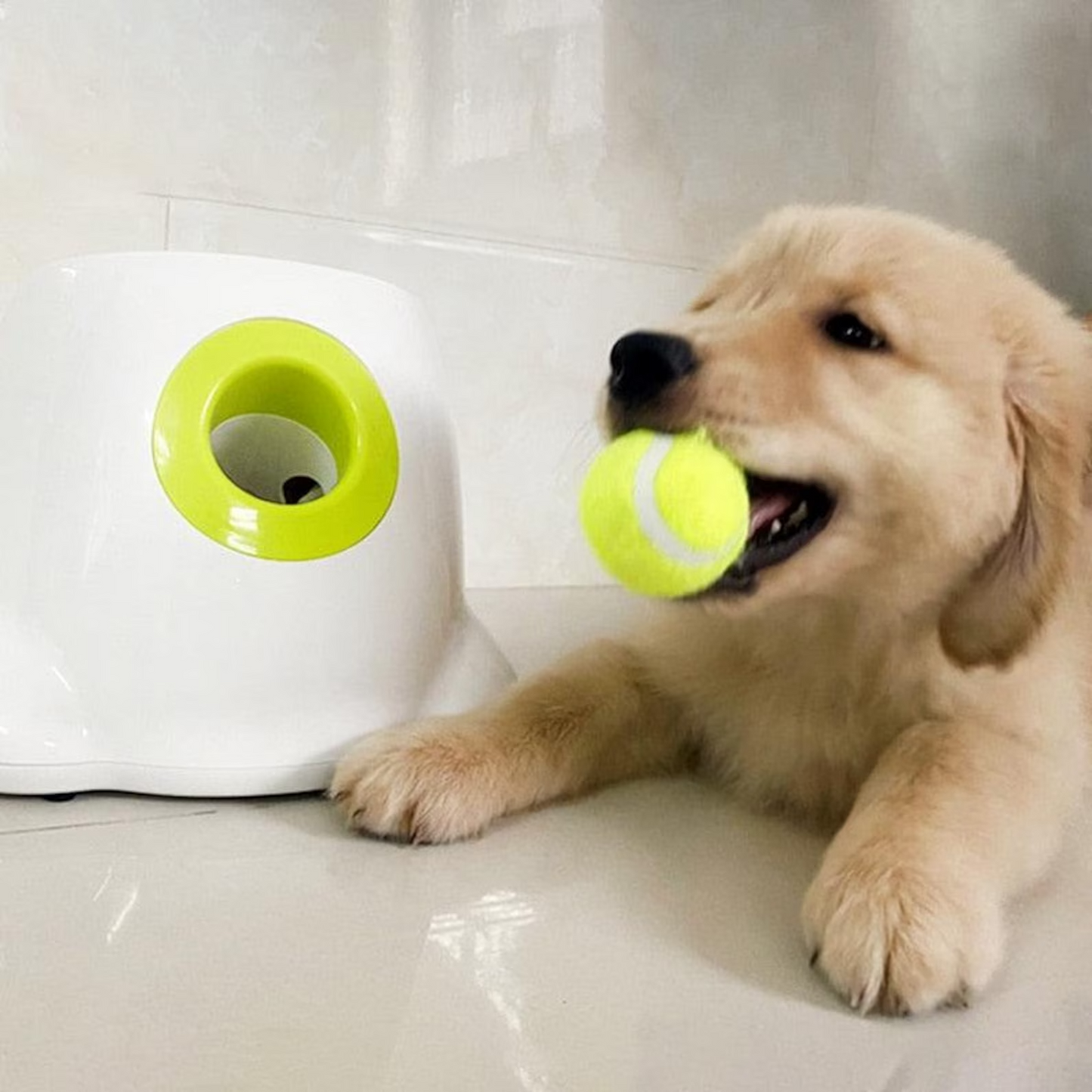 Interactive Tennis Ball Launcher Dog Toy