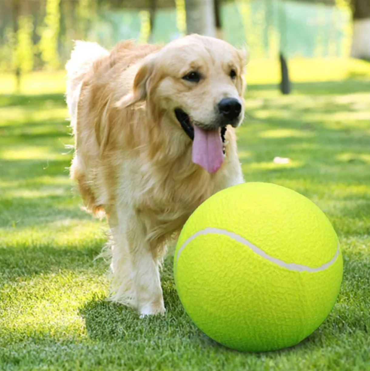 巨型互动宠物网球玩具