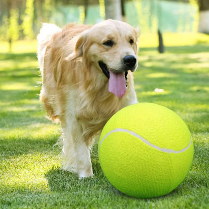 巨型互动宠物网球玩具