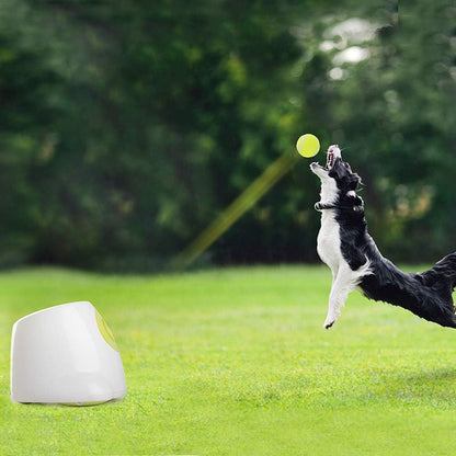 Interactive Tennis Ball Launcher Dog Toy