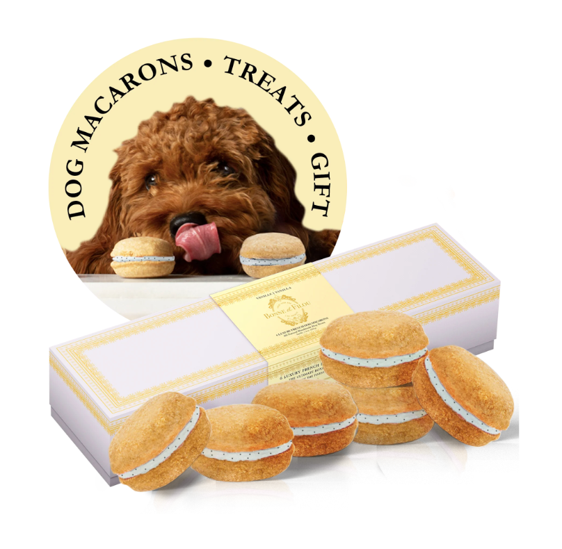 Dog Macarons (12 Flavors) Bonne et Filou