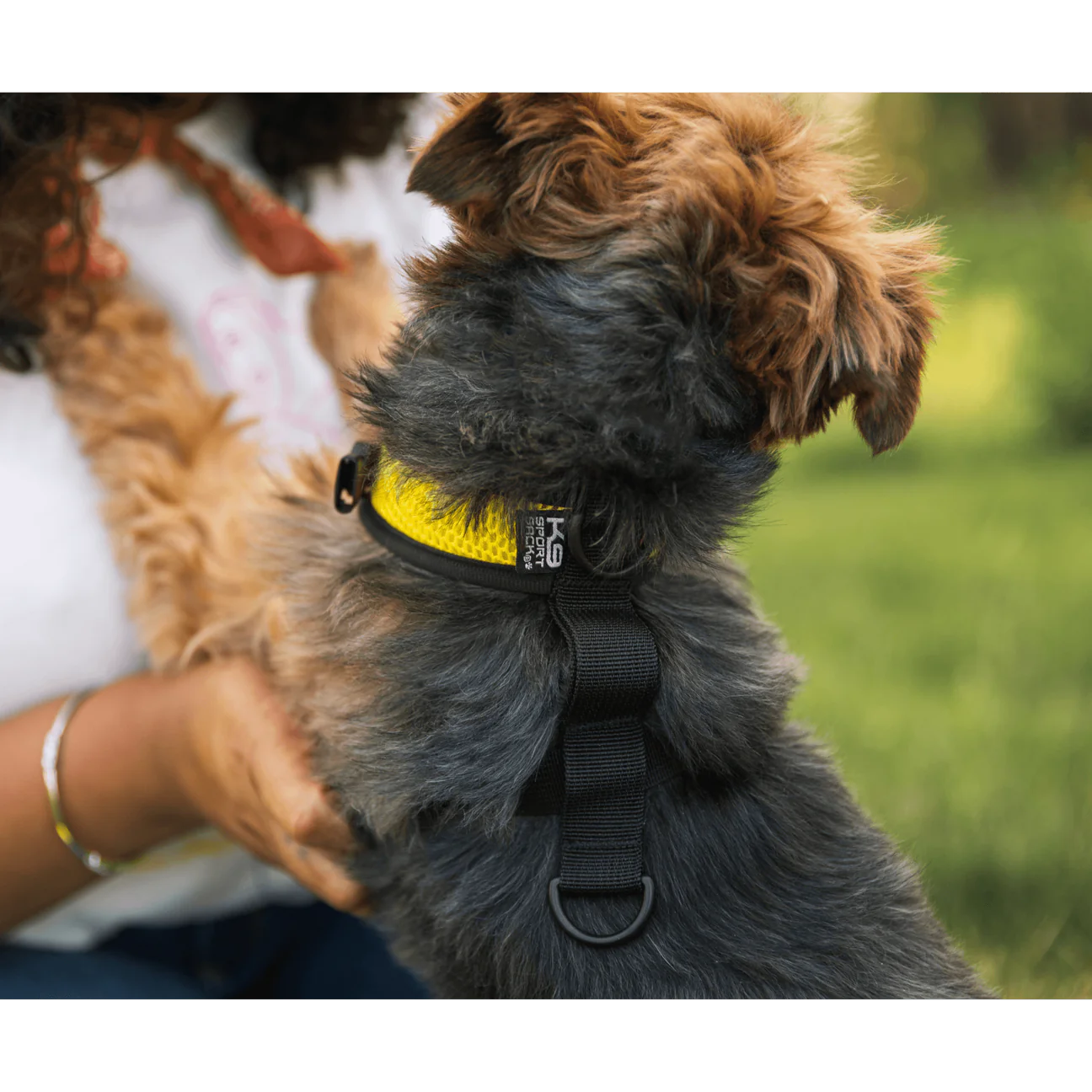 Arnés para caminar y mochila de almacenamiento (K9 - hasta 13.6 kg)