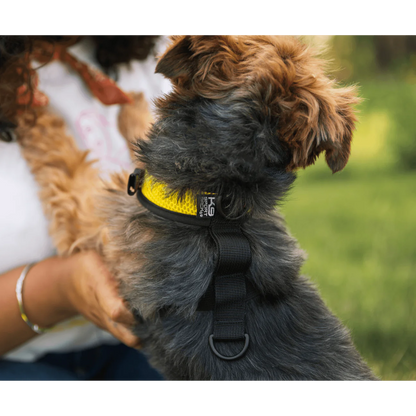 Arnés para caminar y mochila de almacenamiento (K9 - hasta 13.6 kg)
