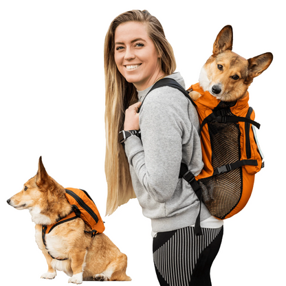 Arnés para caminar y mochila de almacenamiento (K9 - hasta 13.6 kg)