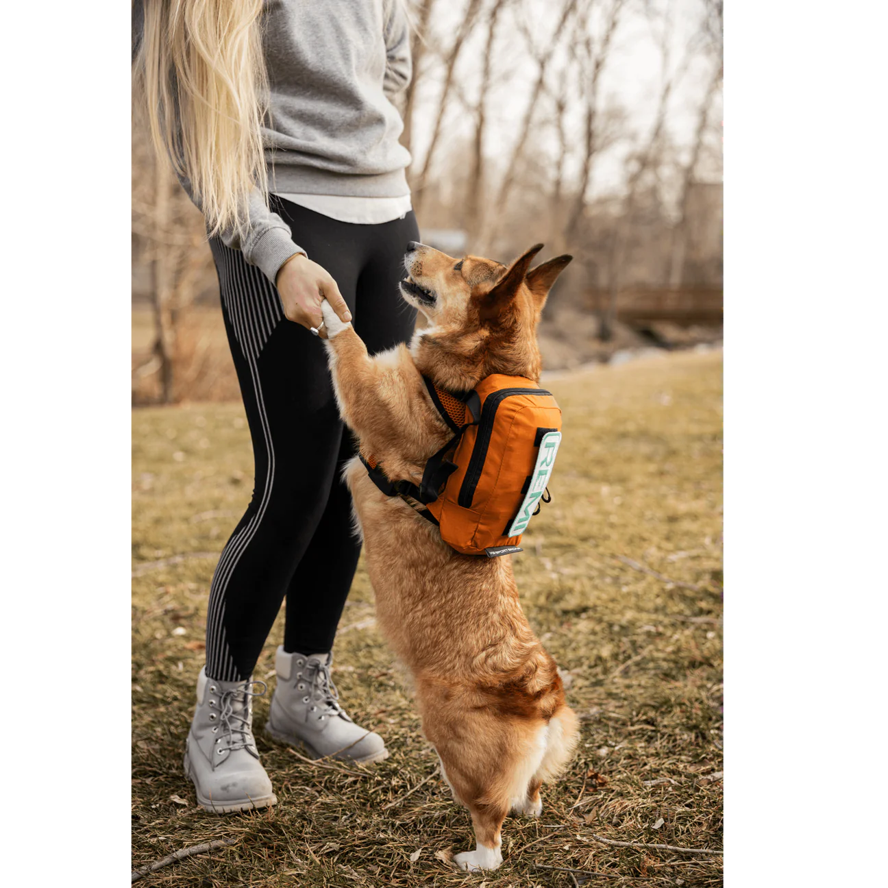 Arnés para caminar y mochila de almacenamiento (K9 - hasta 13.6 kg)