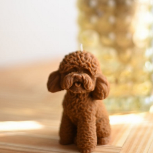 Colección de velas de caniche