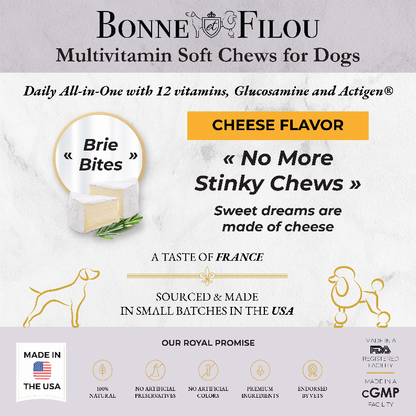 12 合 1 多种维生素狗软咀嚼物（布里干酪）Bonne et Filou