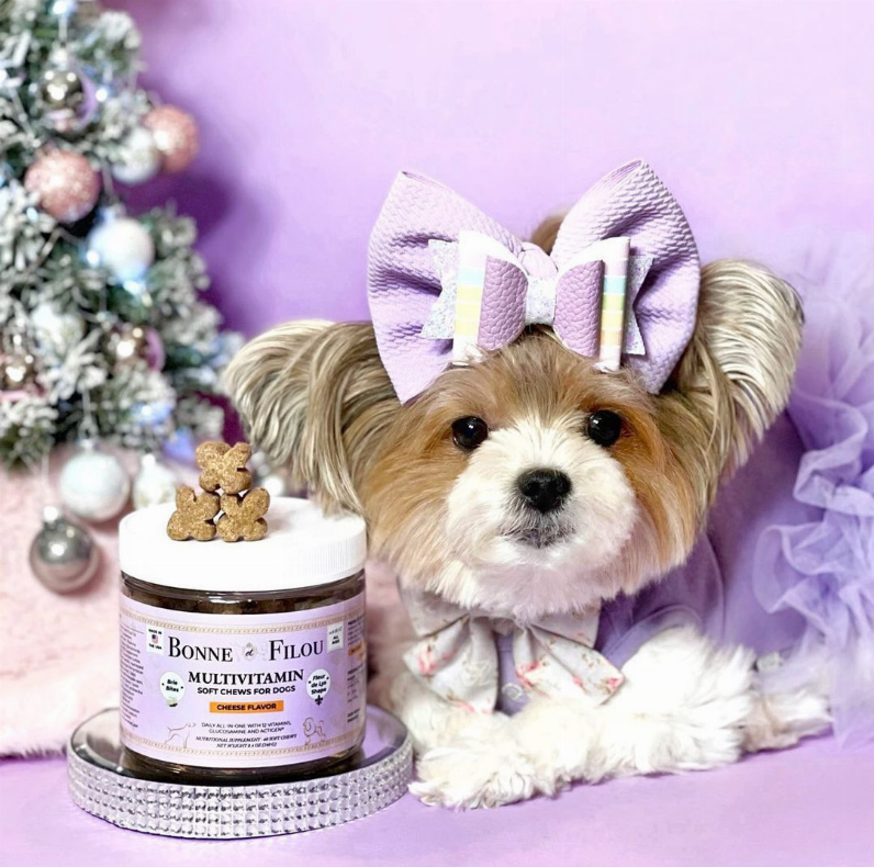 12 合 1 多种维生素狗软咀嚼物（布里干酪）Bonne et Filou