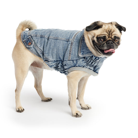 Light Wash Denim Dog Jacket