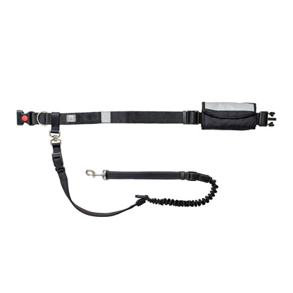 腰带和弹力狗绳